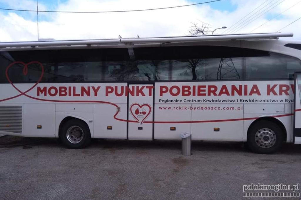 Potrzebna krew dla Oskara - koncert dla krwiodawców