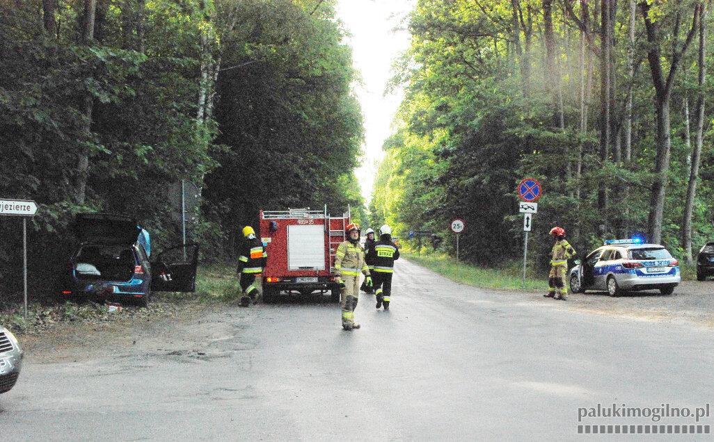 Golfem wjechała w drzewo