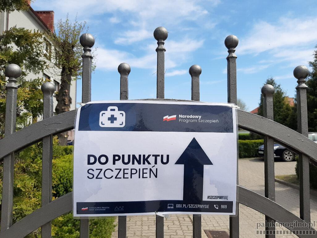 Festyn i szczepienia bez rejestracji