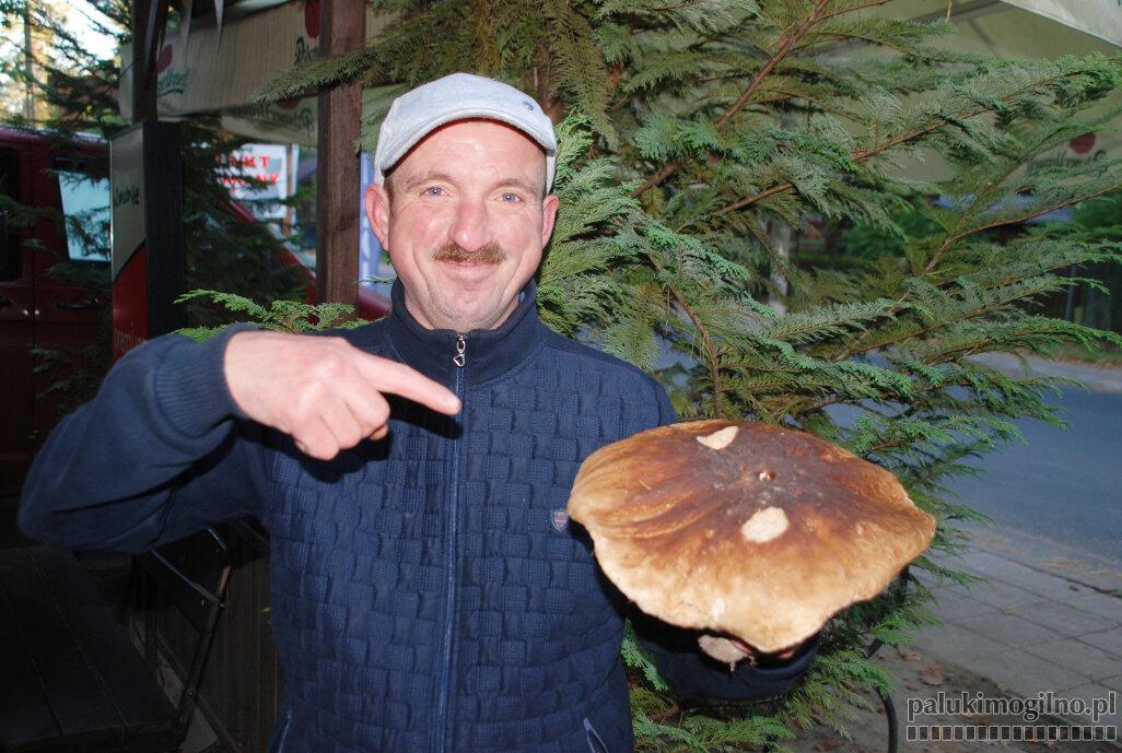 Prawdziwek jak patelnia