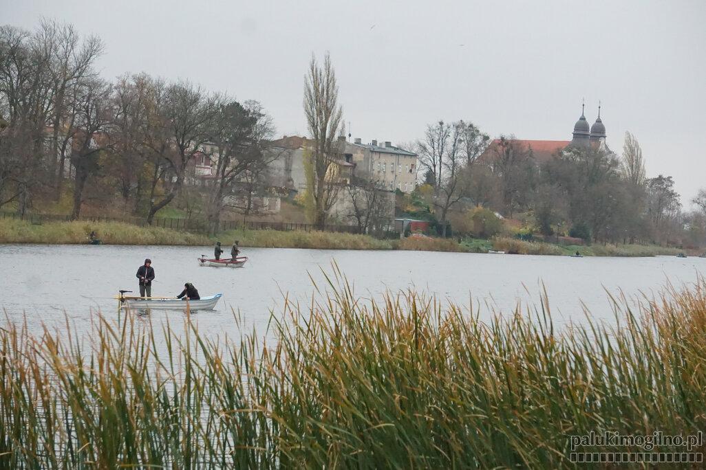 Zawody wędkarskie spinningowe z łódek na Jeziorze Mogileńskim