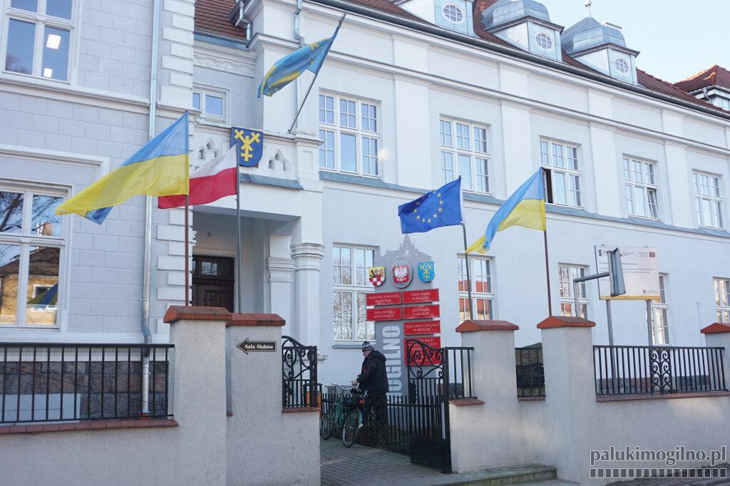 Ukraińskie flagi łopoczą na ratuszu w Mogilnie i budynkach kultury