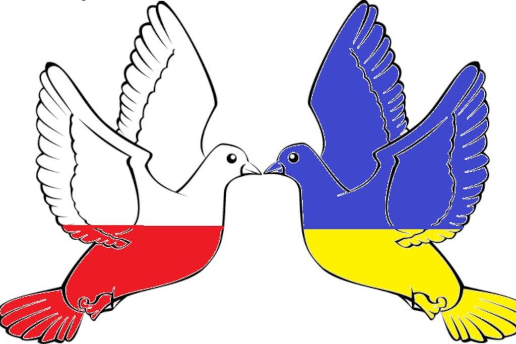 Diecezje i parafie pomagają Ukrainie