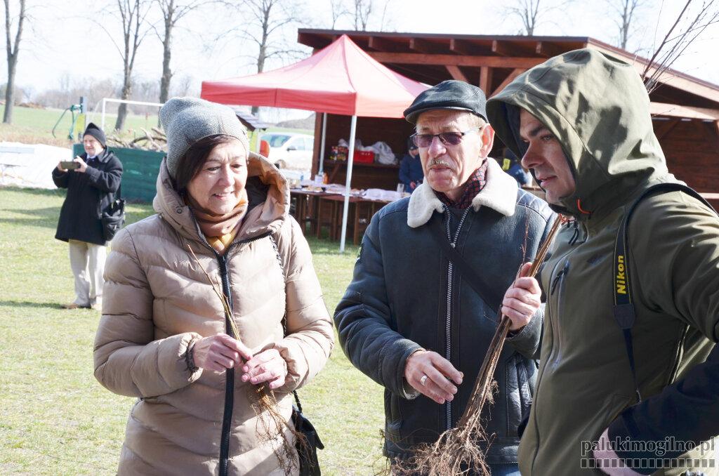 Kiermasz wielkanocny w Chabsku. Rozdano 500 darmowych sadzonek drzew i krzewów