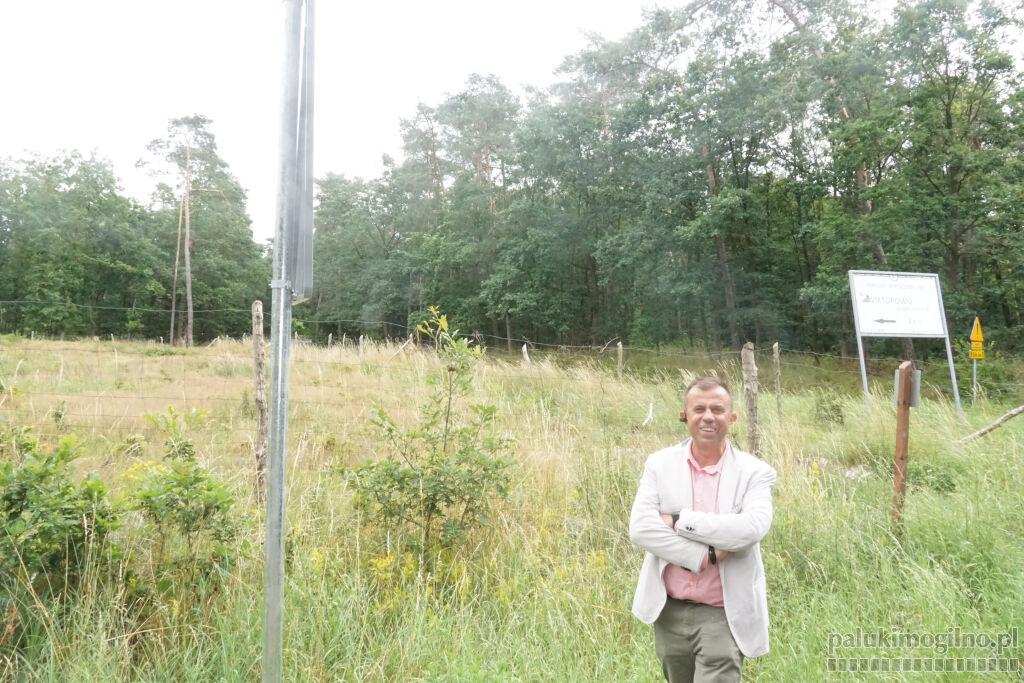 Szok w Wiktorowie, Wójcinie, a nawet w Dąbrowie. Nadleśnictwo zamknęło drogi. Autobusy z turystami wjeżdżają na zakazie, bo wczasowicze  z walizkami musieliby iść 3 km pieszo (wideo + zdjęcia)