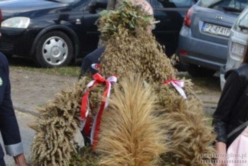W gminie Trzemeszno jednak nie będzie dożynek, nawet na miarę możliwości