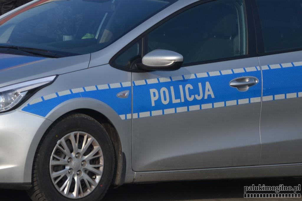 Pies policyjny o drugiej w nocy odnalazł 72-letnią zagubioną kobietę