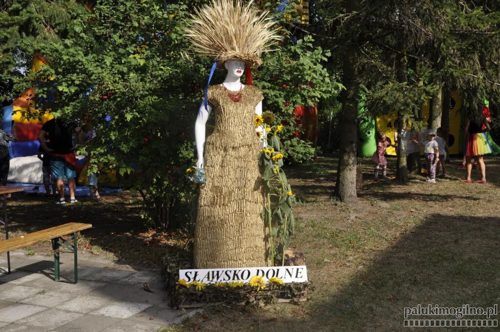 Obejrzyjcie zdjęcia z pikniku w Sławsku Dolnym (galeria)