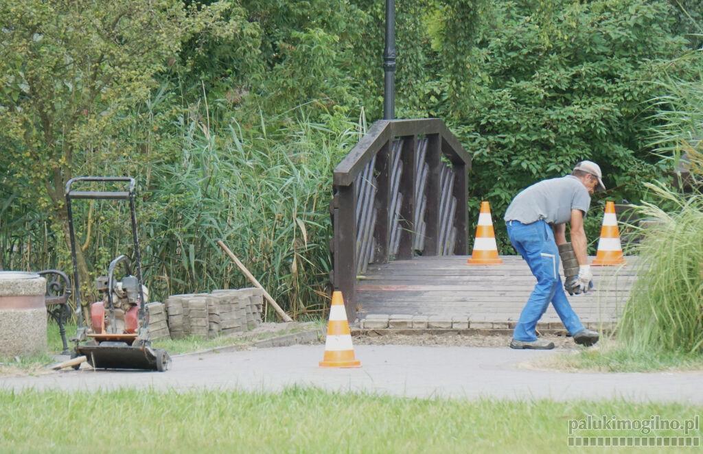 Park w Mogilnie. Siły przyrody dają o sobie znać. Alejki parkowe zapadają się, są pofałdowane
