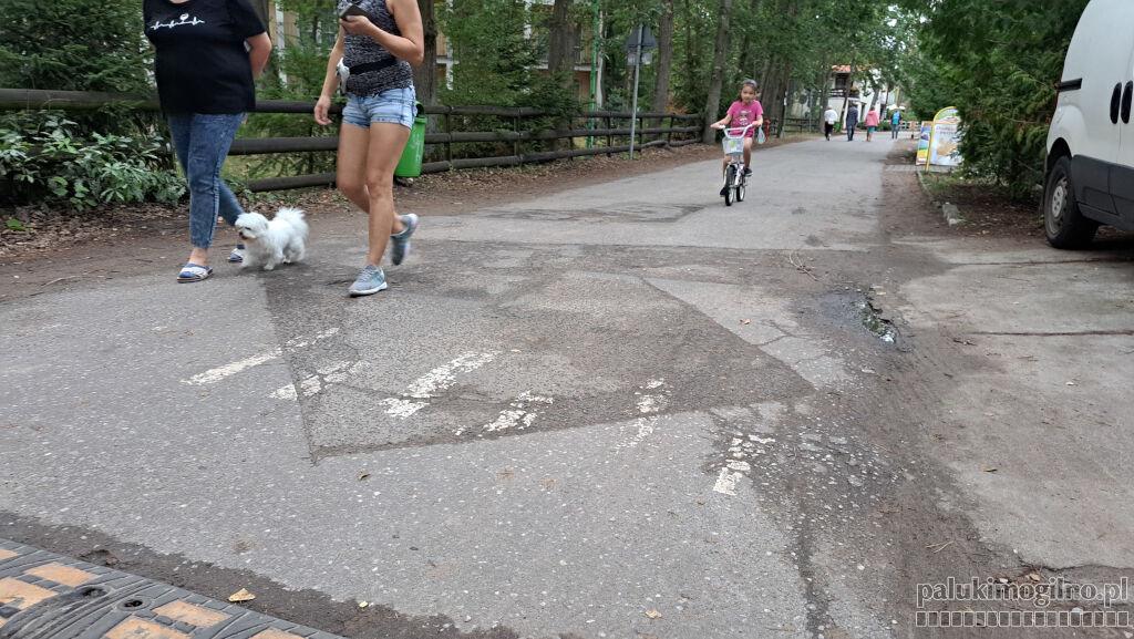Drogi: Wójcin, Baza, Lenartowo, Siedlimowo, Berlinek, Golejewo, Wola Kożuszkowa, Dobsk, a także główna arteria spacerowa Przyjezierza doczekają się remontu