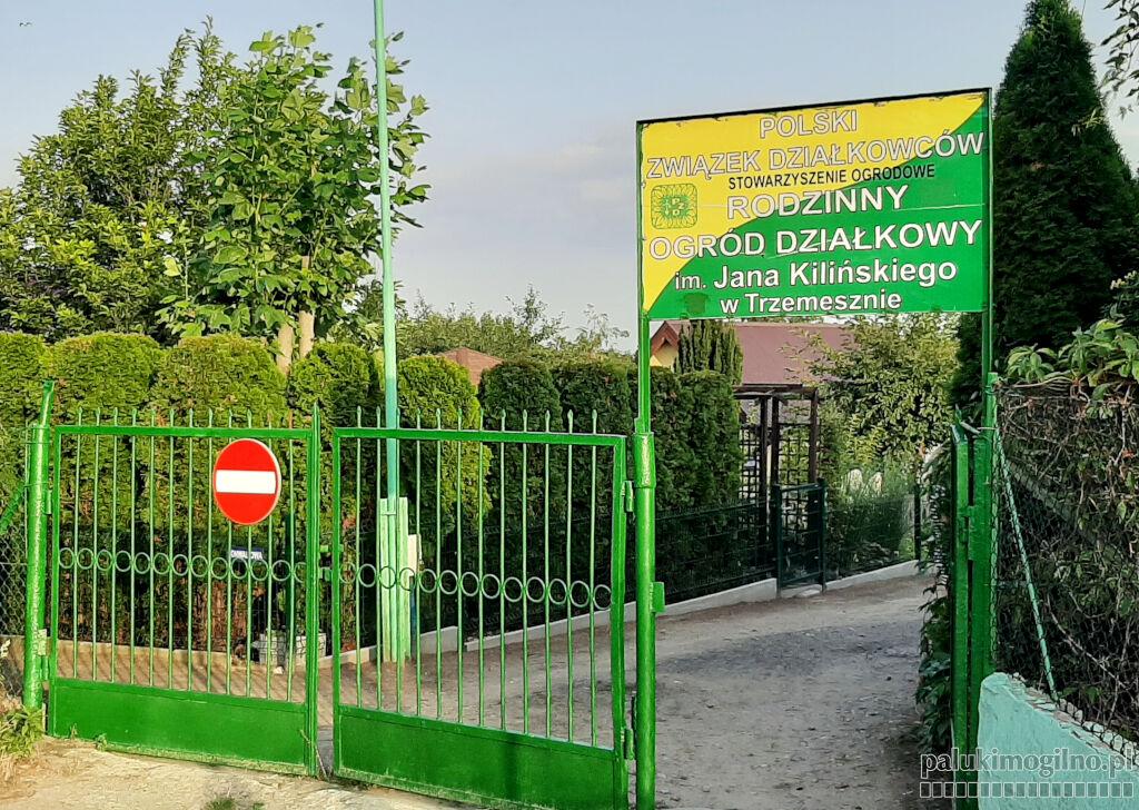 Działkowcy będą dziś świętować 85 lat ROD im. Jana Kilińskiego