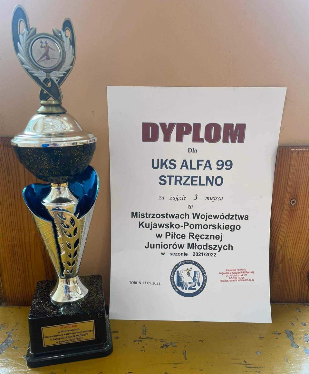 Piłkarze ręczni juniorów młodszych, juniorów i seniorów Alfy