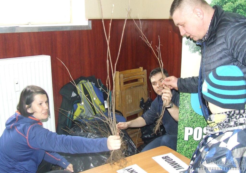 Przy Magazynie Zbożowym gmina rozda 550 darmowych sadzonek drzew i krzewów
