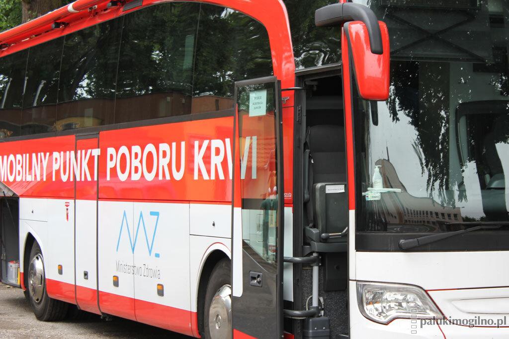 Twoja krew - moje życie. W środę akcja honorowego krwiodawstwa w Strzelnie
