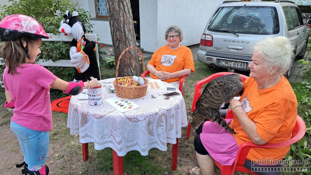 Fundacja Przyjaciół Kotów Przyjezierza powstrzymuje rozmnażanie się kociej populacji