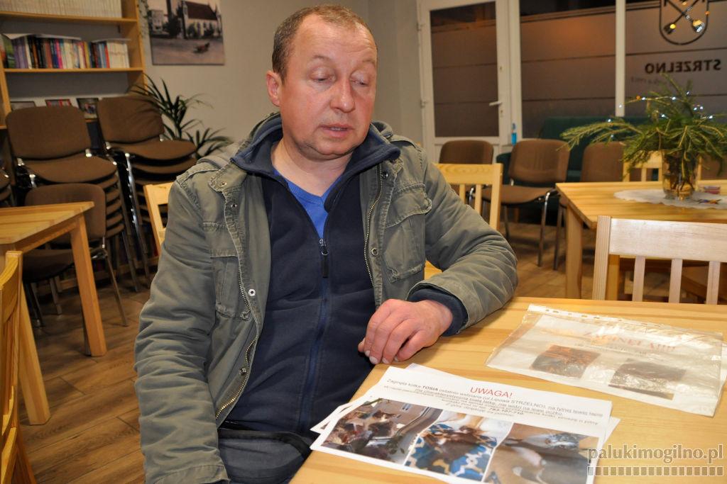 W Strzelnie w niewyjaśnionych okolicznościach giną koty. Właściciele są bezradni