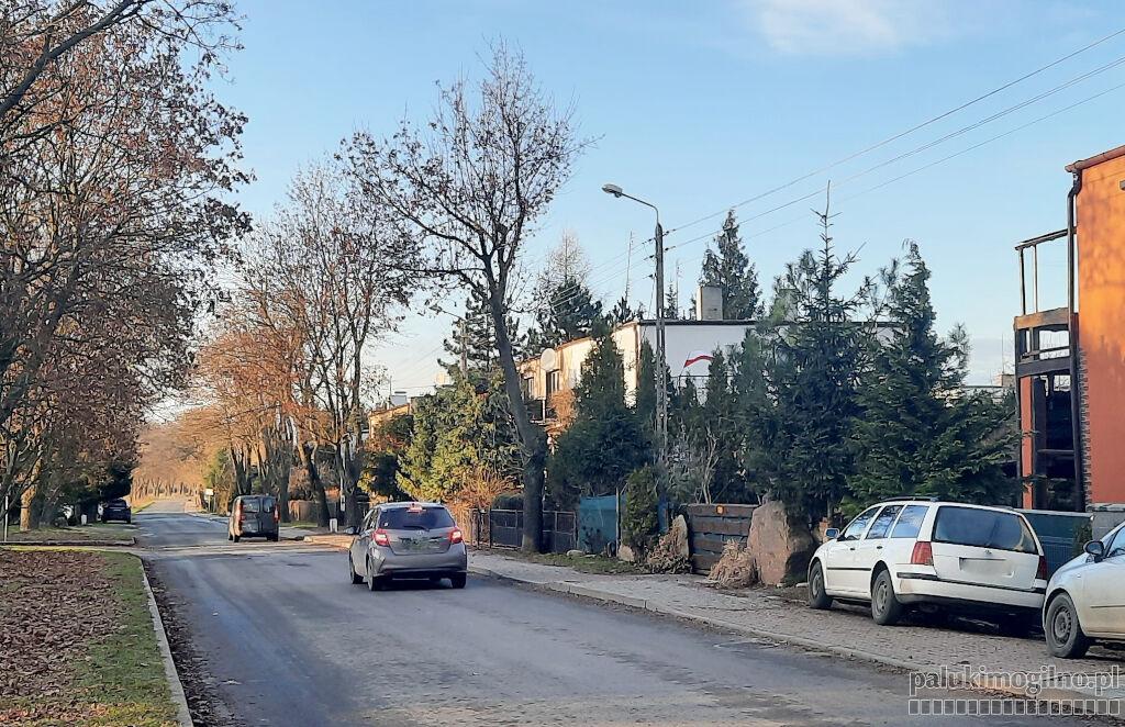 Kopnął psa, zaczepiał młodą dziewczynę, był agresywny