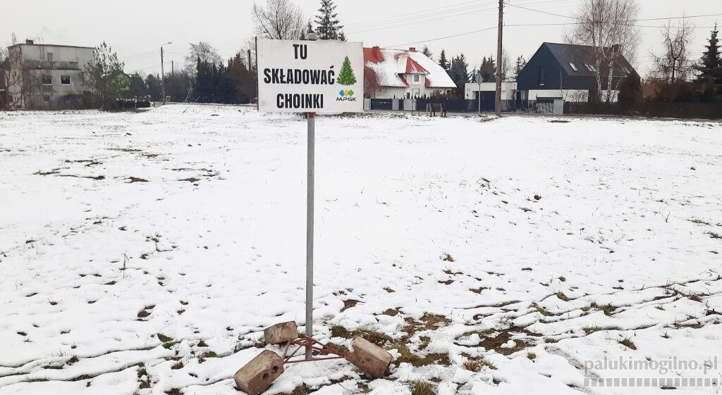 Ściągać bombki i łańcuchy, akcja odbioru choinek od mieszkańców
