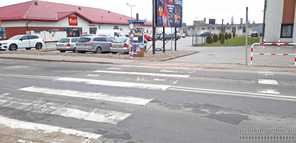 8 firm złożyło oferty na przebudowę ul. Padniewskiej i budowę ścieżki rowerowej