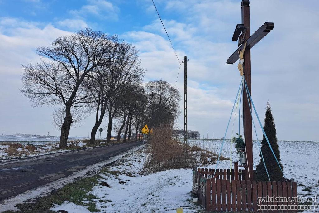 Remont drogi powiatowej Zbytowo - Łąkie. Burmistrz Strzelna nie zgadza się na wycinkę 45 drzew