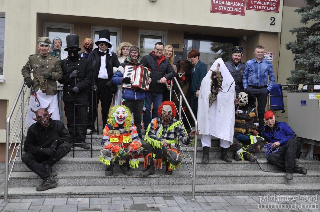 Bożejewicka koza harcowała po Strzelnie (wideo + zdjęcia)