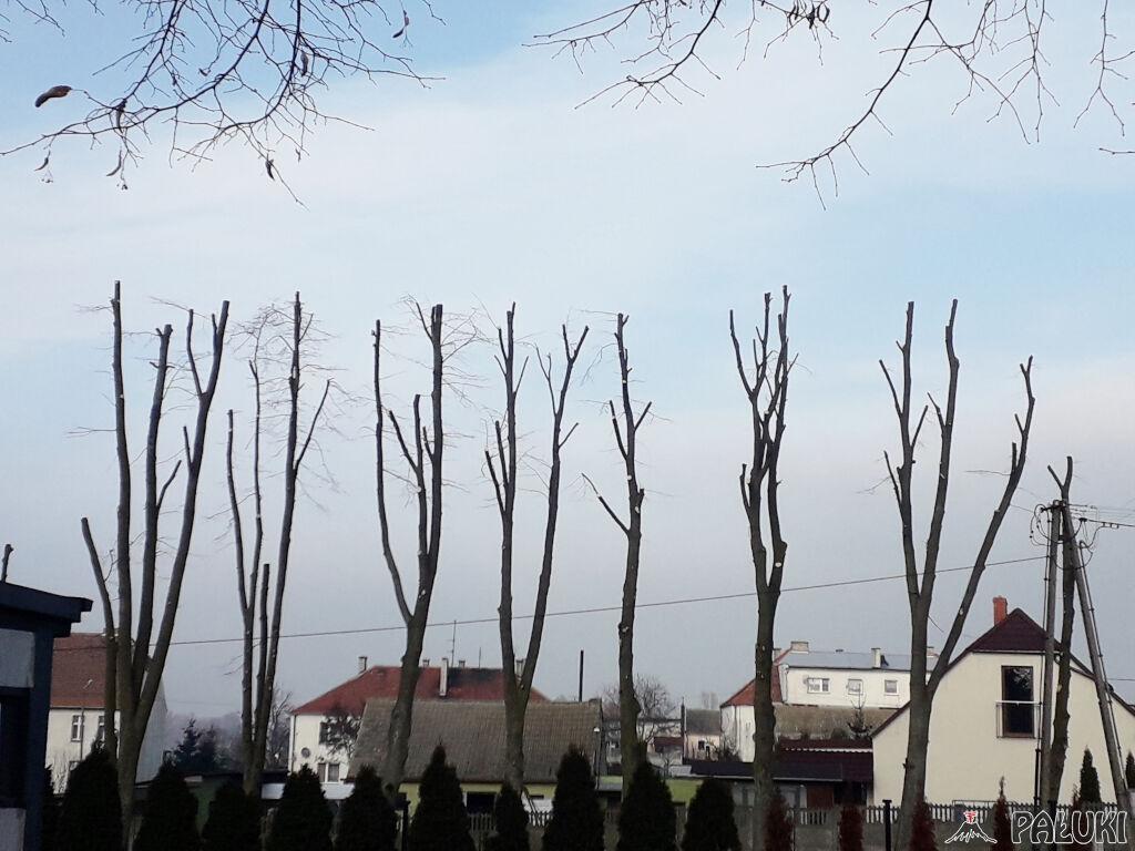 Ogolenie lip na łyso, czy zwykłe zabiegi pielęgnacyjne