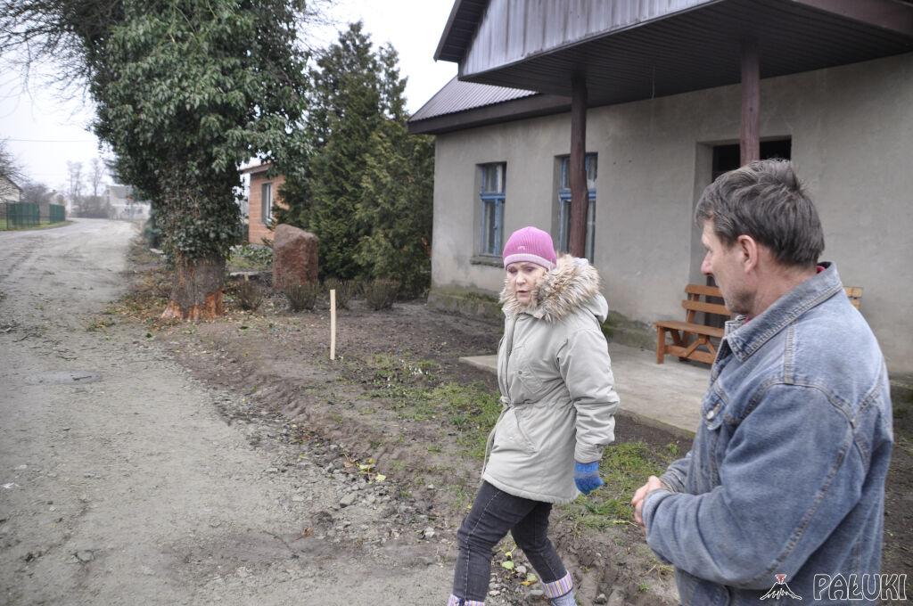 200-letnia grusza uratowana, siekiery Urzędu Gminy już działały (wideo)