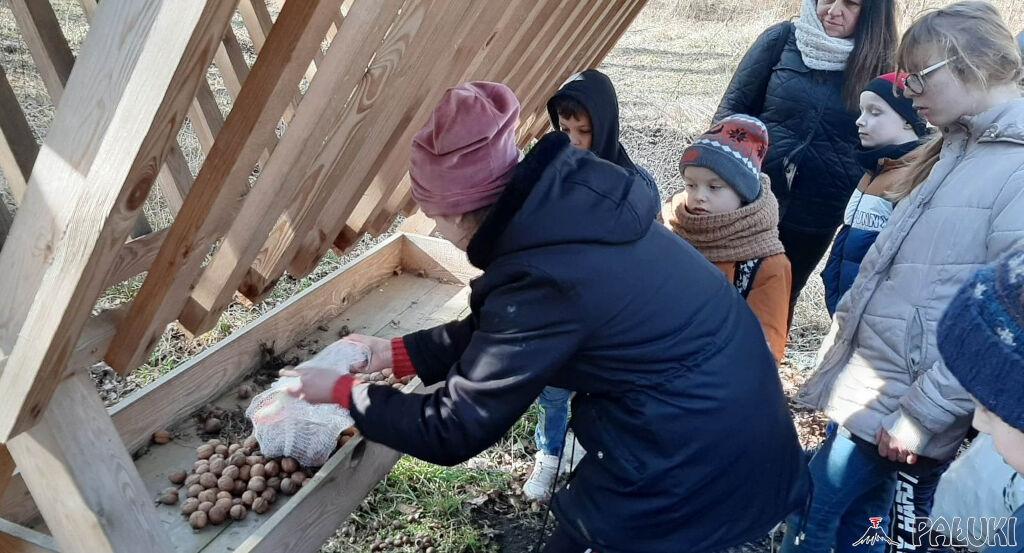 Harcerze dokarmiali leśną zwierzynę. Była to wspólna akcja z leśnikami (zdjęcia)