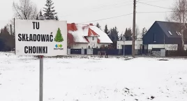 Ściągać bombki i łańcuchy, w gminie Mogilno akcja odbioru choinek