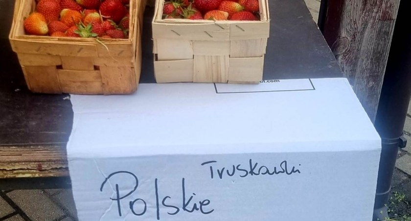 Sezon truskawkowy w pełni. Ile kosztują? 
