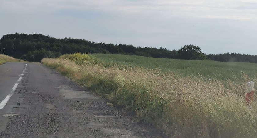 Radny pyta: kiedy rozpocznie się wykaszanie poboczy?