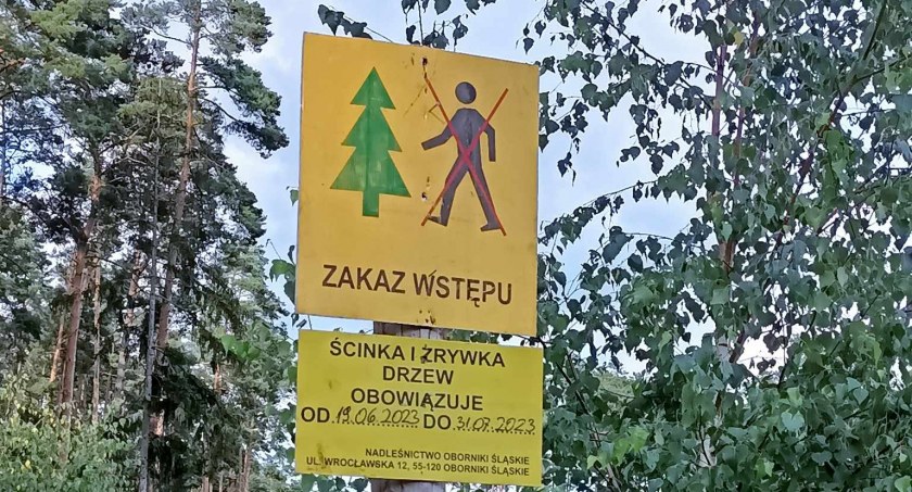Spacery po lesie? Tak! Pamiętajmy jednak o zasadach!