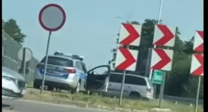 Miśki suszą ...kierowcy się irytują [WIDEO]