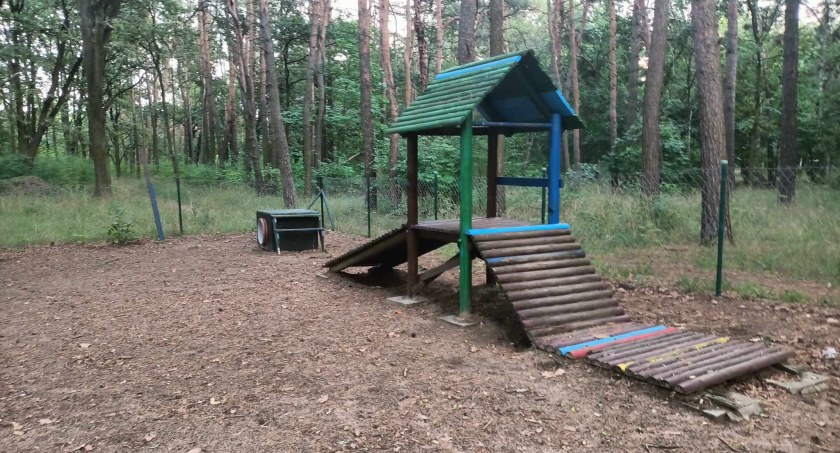 Odwiedziliśmy plac zabaw dla psów. Znacie to miejsce?