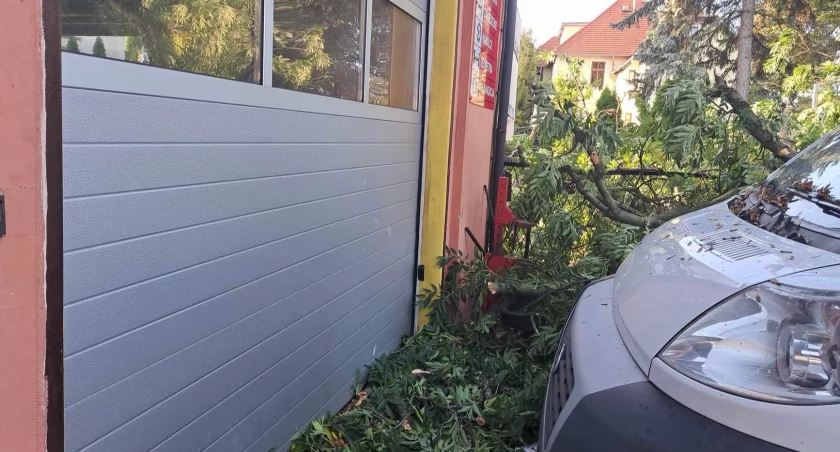 Nocna wichura łamała drzewa i zrywała linie energetyczne [ZDJĘCIA, WIDEO]