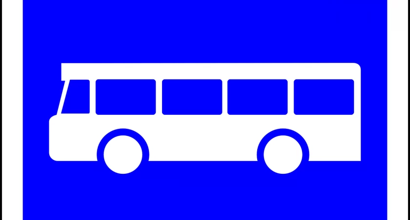 Transport gminy Brzeg Dolny do lokali wyborczych