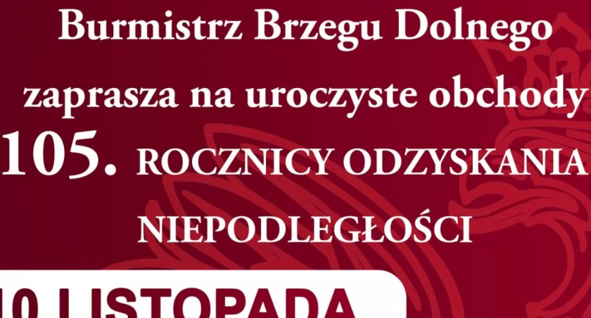 Obchody 105. rocznicy Odzyskania Niepodległości w Brzegu Dolnym