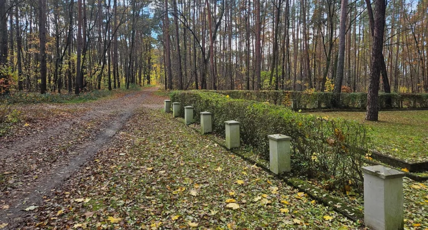 Urzędnicy zachęcają do wypełniania ankiety