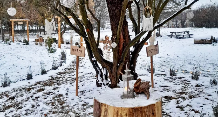 Kolejne zielone miejsce w Gminie Wołów!