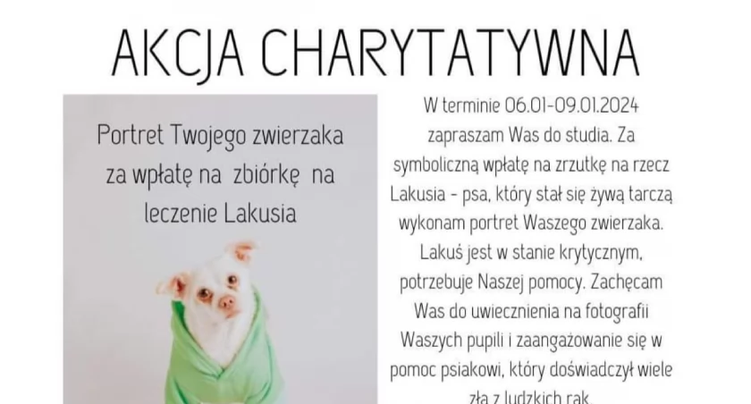 Rusza akcja charytatywna. Pieniądze trafią na leczenie Lakusia