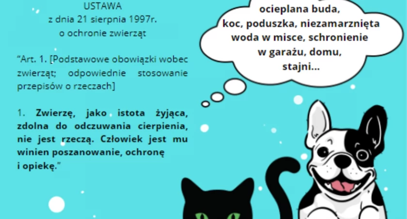 Apel Powiatowego Lekarza Weterynarii. Zadbajmy o warunki w jakich żyją nasze zwierzaki!