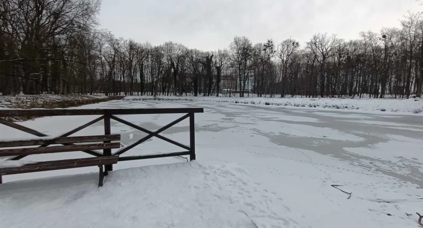 Zimowe spacery w dolnobrzeskim parku [ZDJĘCIA]