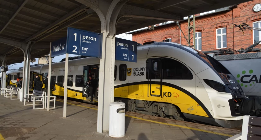 Koleje Dolnośląskie z nowym rekordem. Spółka przewiozła w 2023 roku ponad 19 milionów osób