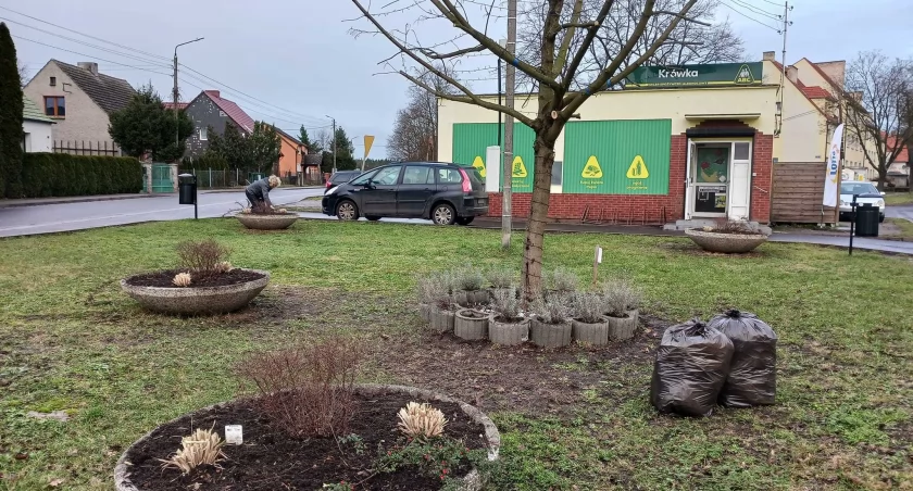 Prace porządkowe w Lubiążu