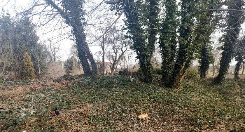 Teren za świetlicą w Łososiowicach posprzątany