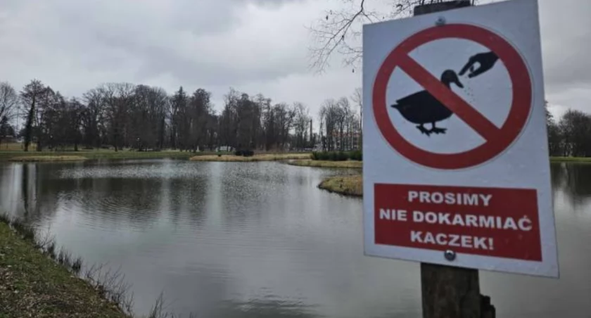 Gdzie się podziały kaczkomaty z dolnobrzeskiego parku?