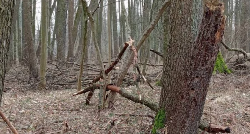 Park z potencjałem, a jednak straszy