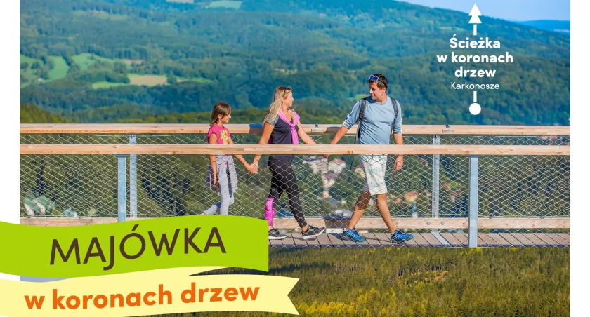 Majówka: Wspaniała przygoda z przyrodą na ścieżce w koronach drzew