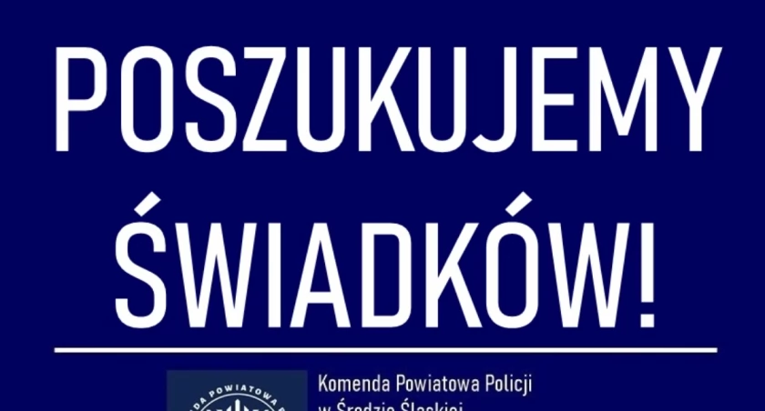 Funkcjonariusze poszukują świadków kradzieży 