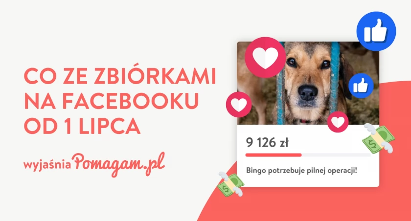 Ponad 13 tysięcy organizacji pozarządowych w województwie dolnośląskim straci możliwość zakładania zbiórek na Facebooku i Instagramie. Co teraz?